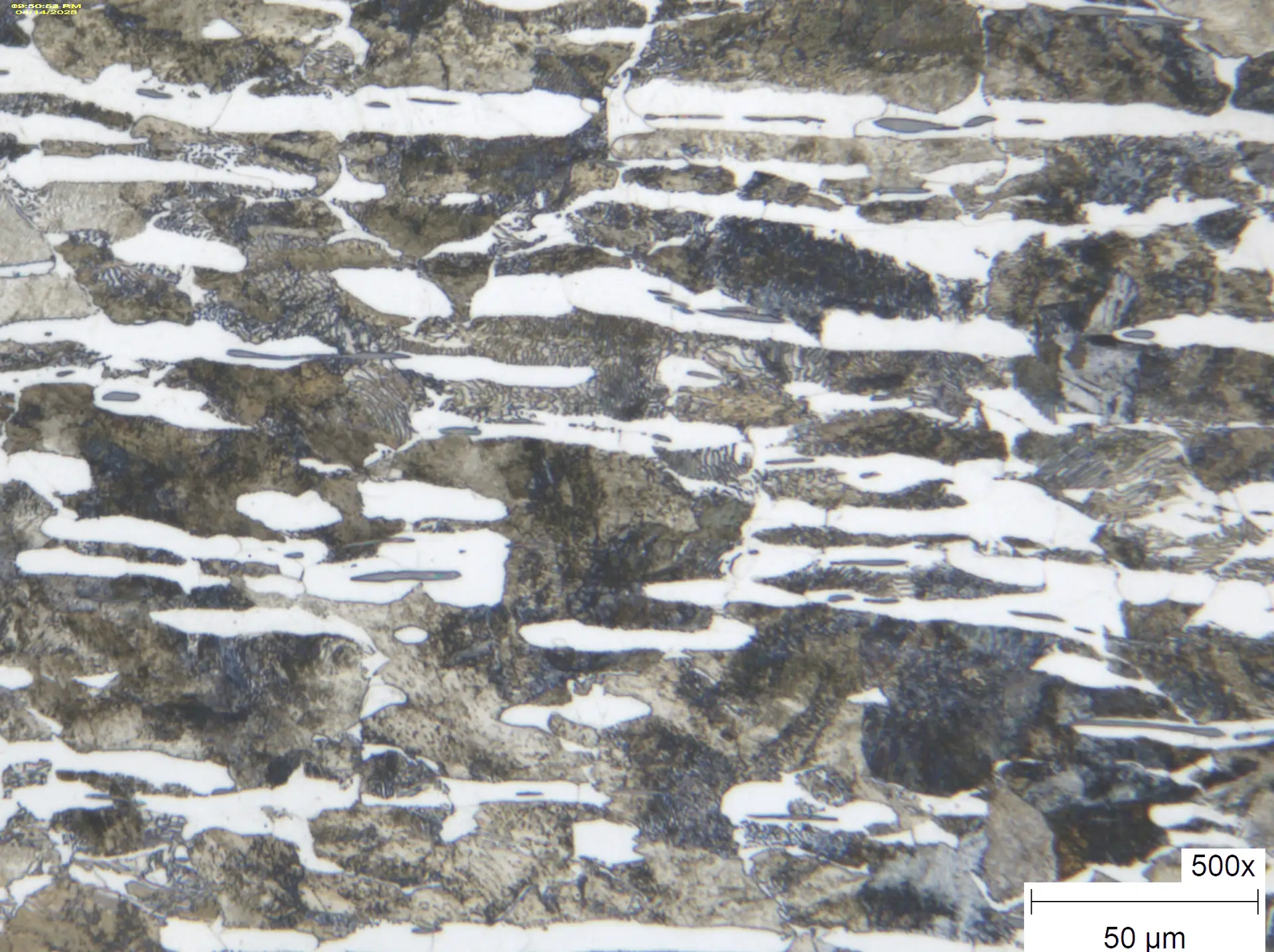 Metallography